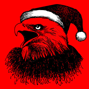 戴着圣诞帽子的鹰鸟 涂鸦手 插图 雪 节日 动物背景图片