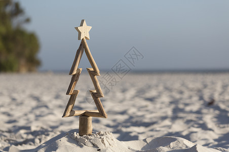 沙滩上的漂流树圣诞树背景图片
