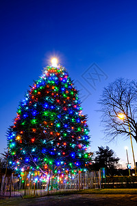 大圣诞树上的多彩明灯 圣诞节快乐 佳节 圣诞祝福 圣诞节 季节性的背景图片