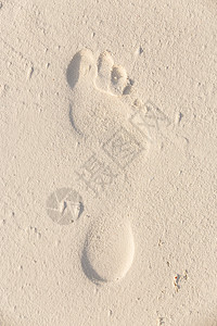 沙子上的脚印 美丽的 打印 夏天 赤脚 脚步 海岸线图片