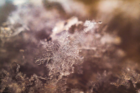 雪花关闭你 圣诞节 冰 霜 降雪 美好的 雪堆背景图片