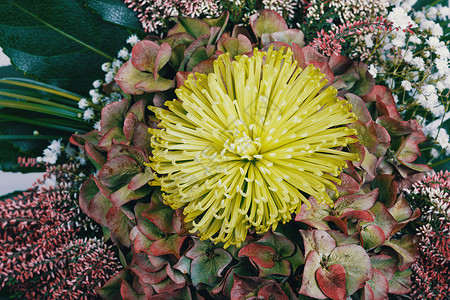 新鲜热菜花束 浪漫 浪漫的 叶子 婚礼 周年纪念日 花瓶图片