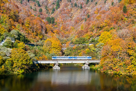日本福岛田上秋天 松树 运输 山 火车 湖 河高清图片