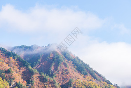 福岛银行 运输 旅游 湖 日本 光洋 薄雾 松树高清图片