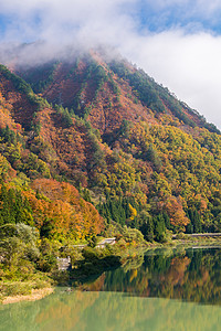 福岛银行 叶子 日本 旅行 反射 黎明 山 光洋高清图片