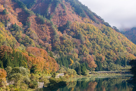 只见町日本秋天的颜色高清图片