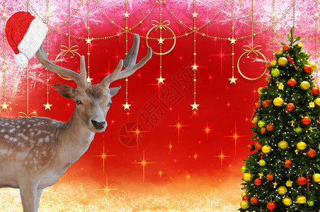 圣诞快乐 一只鹿的鹿角上戴着圣诞老人的帽子 一棵装饰精美的圣诞树被孤立在美丽的圣诞背景中 上面有星星背景图片