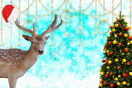圣诞快乐 一只驯鹿在他的鹿角上戴着圣诞老人的帽子 一棵装饰精美的圣诞树被隔离在装饰精美的圣诞背景上 上面有星星和雪花背景图片