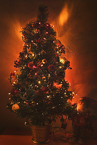 客厅圣诞树背景图片