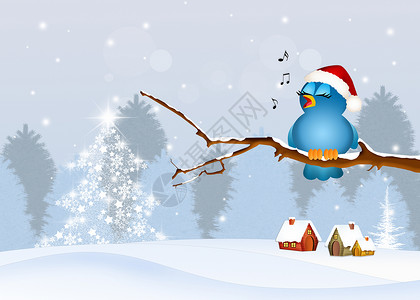圣诞的时候在树枝上的可爱鸟背景图片