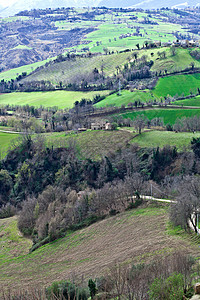 绿色春春明的农村背景图片