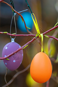 挂在树上彩蛋假期艺术高清图片