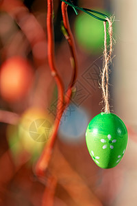挂在树上彩蛋花园传统高清图片