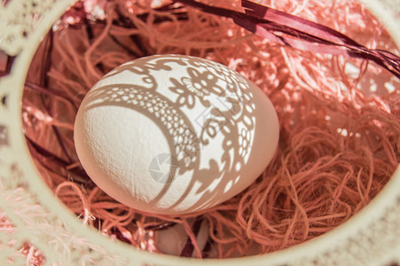 珊瑚背景上带蛋和白色镂空椭圆框的复活节贺卡 明亮的阳光在白蛋上营造出美丽的阴影 复制空间 弓 乡村背景图片