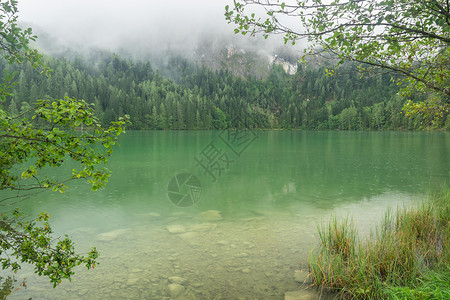 奥地利美丽的湖泊 奥地利的格莱因克西 夏天背景图片