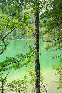 奥地利美丽的湖泊 奥地利的格莱因克西 旅游背景图片