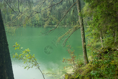 奥地利美丽的湖泊 奥地利的格莱因克西 山脉背景图片
