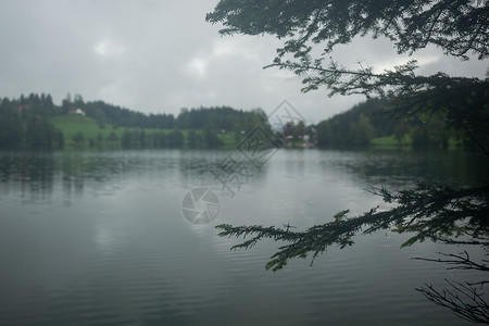 奥地利美丽的湖泊 奥地利的格莱因克西 水背景图片