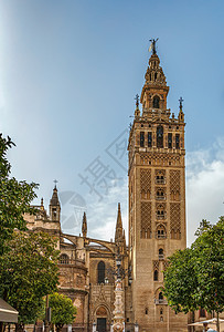 西班牙塞维利亚大教堂 宗教 老的 宗教的 历史 塔高清图片