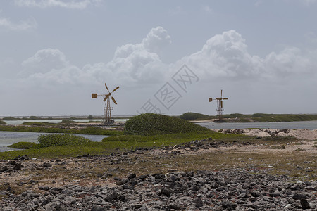 博内尔岛支撑绿色的高清图片