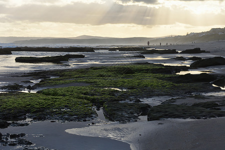 明亮绿岩在下午海滩上图片
