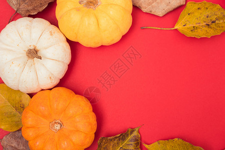节日秋季 万圣节 感恩节和复活节 邀请函 蔬菜图片
