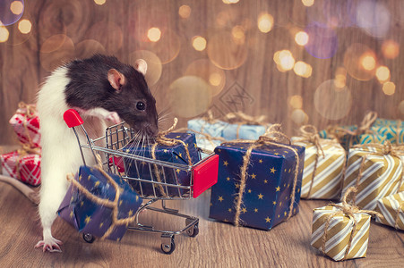 历法一只可爱的老鼠站在装有圣诞或新年礼物的购物车旁边 2020 年的象征 鼠年 新年购物理念 十二月 市场背景