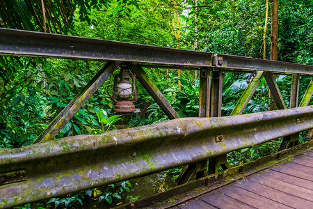 在丛林风景的一座桥上 古老的生锈旧灯笼 自然建筑高清图片