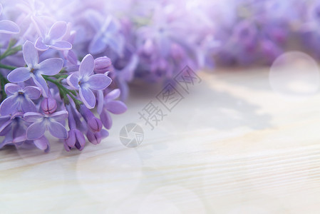 紫色正方形边框用于设计的美丽花卉空白 — 木桌上的丁香花边框 带有文本复制空间 桌子 妈妈们背景