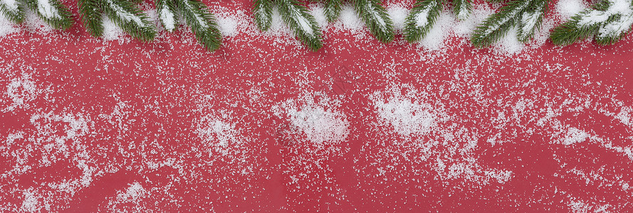 圣诞节季节性圣诞节日小费 上面满是白红的雪 树 冷杉背景图片