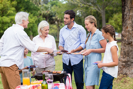 家庭在公园中共同享受 男人 烧烤 团结 快乐高清图片