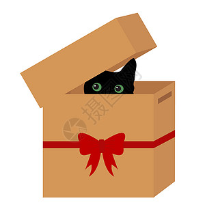 包装眼睛素材黑猫在装有红丝带的盒子里背景