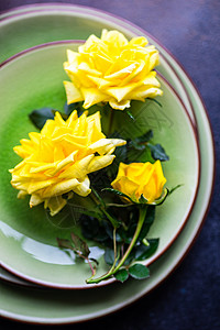 含有黄色玫瑰花的压实表板设置 空的 花束 刀具背景图片
