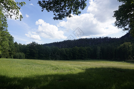 施拉姆斯泰因的在施拉姆斯泰因山脊脚下 野生草原背景