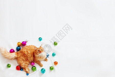 姜地可爱的姜猫躺在圣诞装饰品中 — 鲜艳的彩球 毛茸茸的宠物舒适地安顿下来玩耍 舒适的假期背景 早上在家就寝时间 平躺 顶视图背景