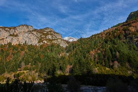 比利牛的山岳 农场 山坡 森林 蒂罗尔 木头 高的背景图片