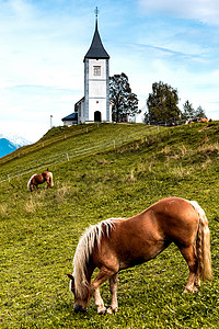元始天尊卡曼州Jamnik的St Primoz 照片教堂马匹牧场 宁静 放牧背景