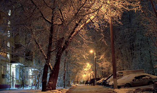 下雪后的城市庭院图片