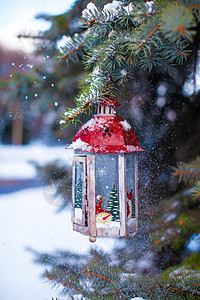 挂灯笼的树圣诞灯笼上挂着雪花 挂在树枝上 花园 烛光背景