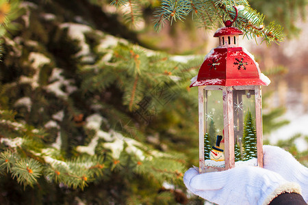 在户外温暖的手套上 美丽的红色古老圣诞灯笼 抓住 森林背景图片