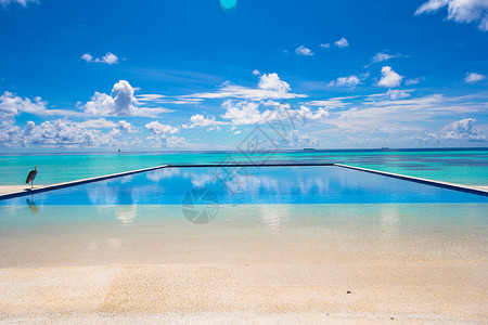 无极调光热带旅馆中豪华无极游泳池 假期 地平线 闲暇 蓝色的背景