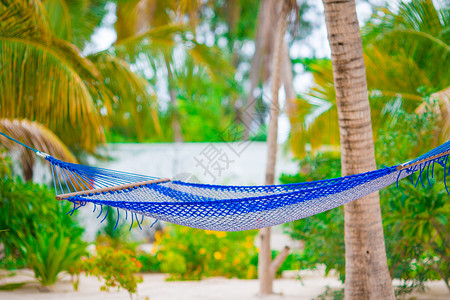 椰子树下吊床在阳光明媚的夏日 热带天堂椰子棕榈树下浪漫舒适的吊床 放松 海背景