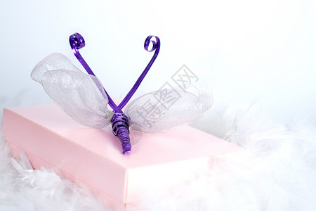圣诞节 纸板 派对 紫色的 美丽的 弓 生日 优雅背景图片