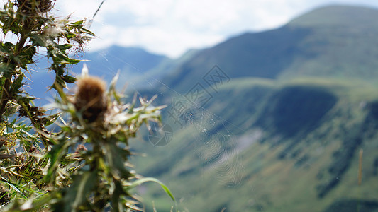 夏日在山上的科布网高清图片