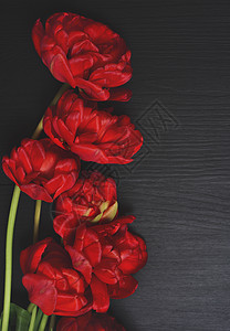 黑色表面的红色郁金香花束图片