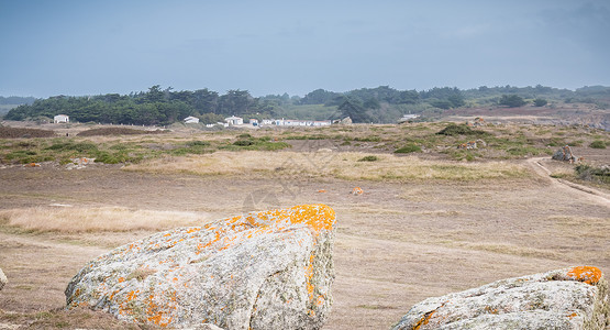 桃红大卷柳岩远在海边的柳岛岩丘风景 地平线 海螺 水 法国背景