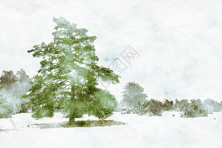 冬天水彩冬季风景风景与一棵松树数字水彩 pa背景