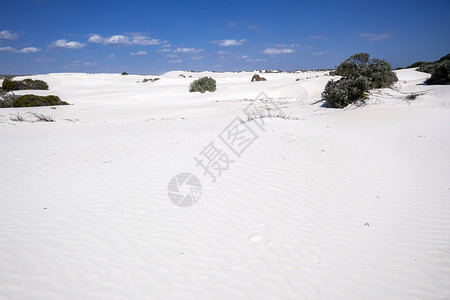 兰斯堡西澳大利亚西澳大利亚白沙丘色 旅游 风景 自然背景