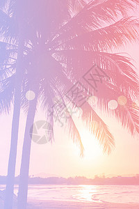 日落天空耀斑和散景自然中的热带棕榈椰子树 晴天 水背景图片