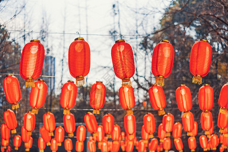 红中国灯笼挂在公园里背景图片